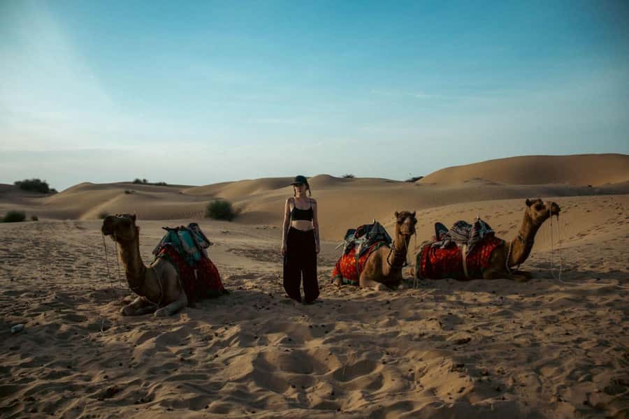 Nomadic Non-Touristic Overnight Camel & Desert Safari Tour - Animal Spotting and Desert Life Without Pretending It’s a Zoo
