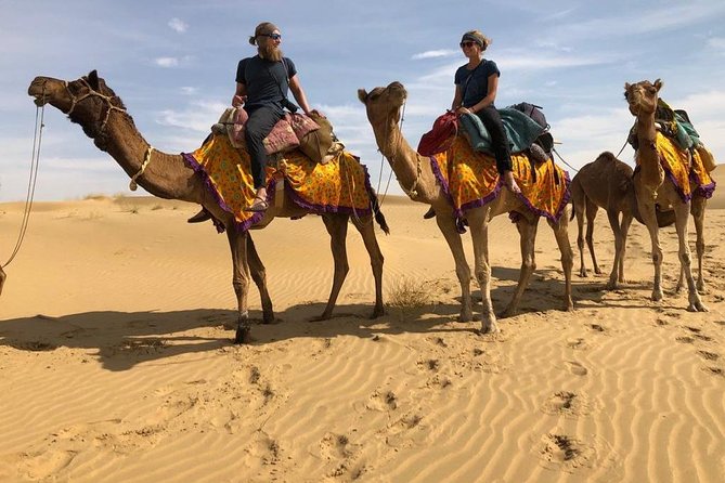 Nomadic Non-Touristic Overnight Tour & camel Safari - 2:30 pm Jeep start: pickups, timing, and the road trip mood