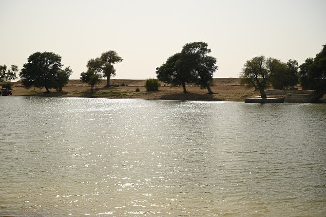 Non-Touristic Overnight Camel Safari with Stargazing Hidden Tour In Desert - Breakfast, Return Ride, and Getting Back Around Late Morning
