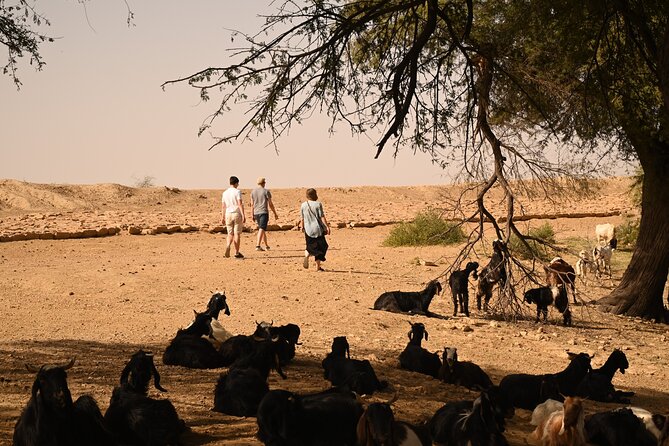 Non-Touristic Overnight Camel Safari with Stargazing Hidden Tour In Desert - Food and Drinks: What’s Included (and What’s Not)