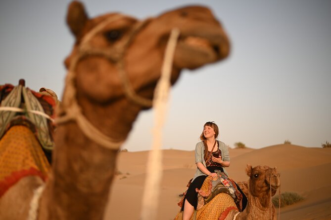 Non-Touristic Overnight Camel Safari with Stargazing Hidden Tour In Desert - Timing and Pickup: What to Confirm Before You Go