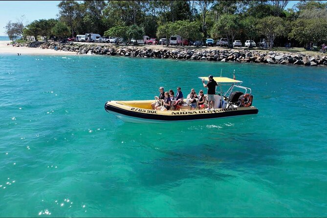 Noosa ocean adventure & Dolphin safari. - Quick Key Points to Know Before You Go