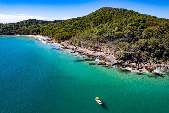 Noosa ocean adventure & Dolphin safari. - The Rigid Inflatable Boat: Speed, Turns, and Why People Get Grins