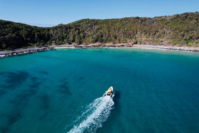 Noosa ocean adventure & Dolphin safari. - Small Group Size: Why It Changes the Whole Trip