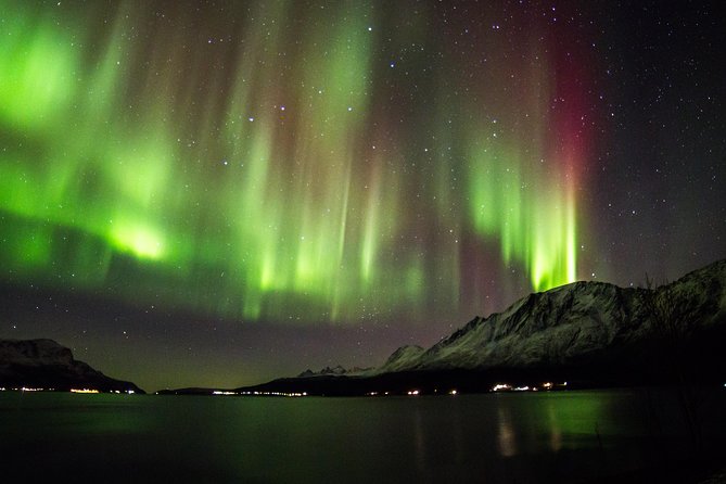 Northern Lights Safari from Tromso - Key Things You Should Know Before You Go