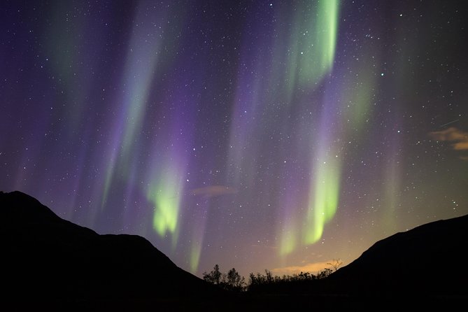 Northern Lights Safari from Tromso - Scanning the Sky: How the Hunt Works in Practice