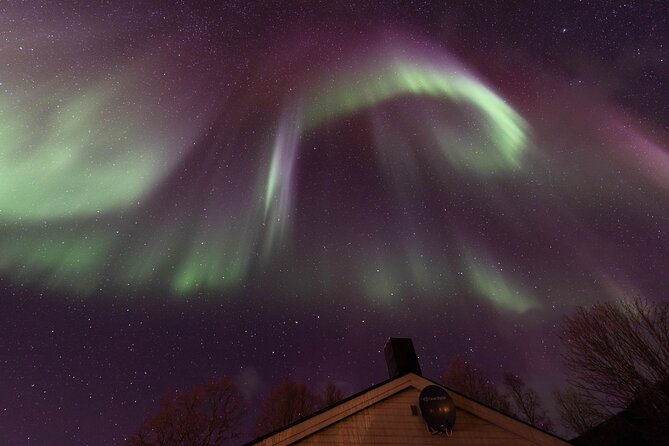 Northern Lights Safari from Tromso - Photo Help and Tripod Use: Turning Darkness Into a Story