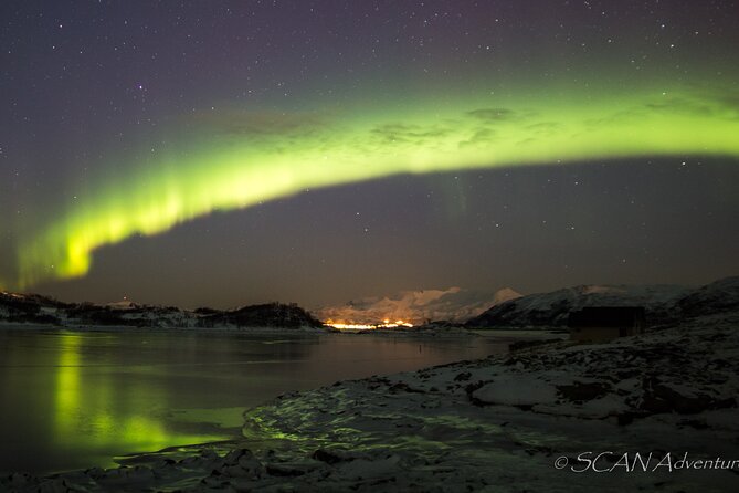 Northern Lights Safari from Tromso - Small Group Energy and Clear Guidance