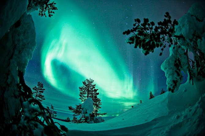 Northern Lights Snowmobile Driving Safari - Snowmobile driving: the fun part, plus the realities