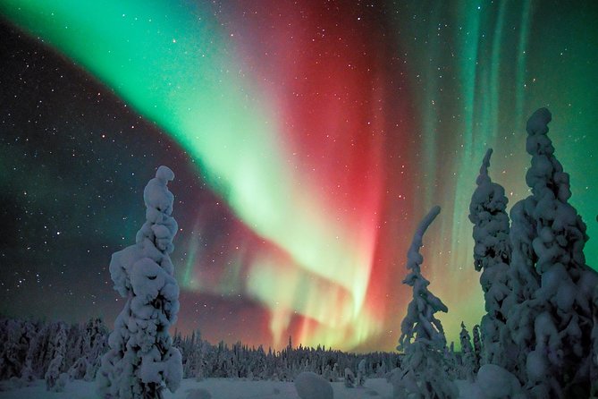 Northern Lights Snowmobile Driving Safari - Who should book this (and who might want a different option)