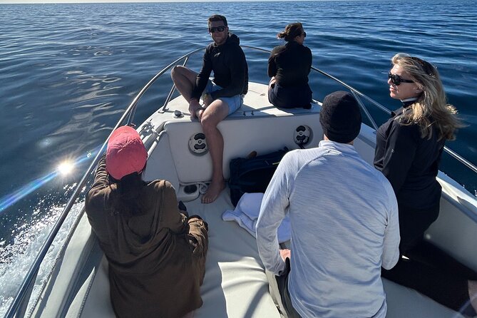 Ocean Safari in San Jose del Cabo - Price and Value: Why $200 Can Make Sense