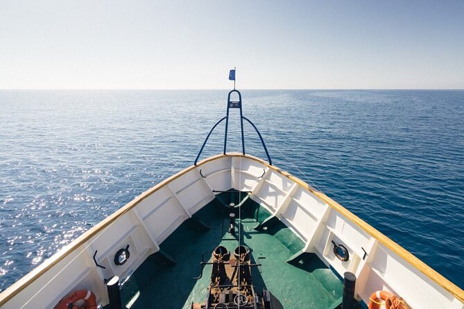 Odyssey Boat Safari from Larnaca - Getting on board: pickup, where it starts, and timing in real life