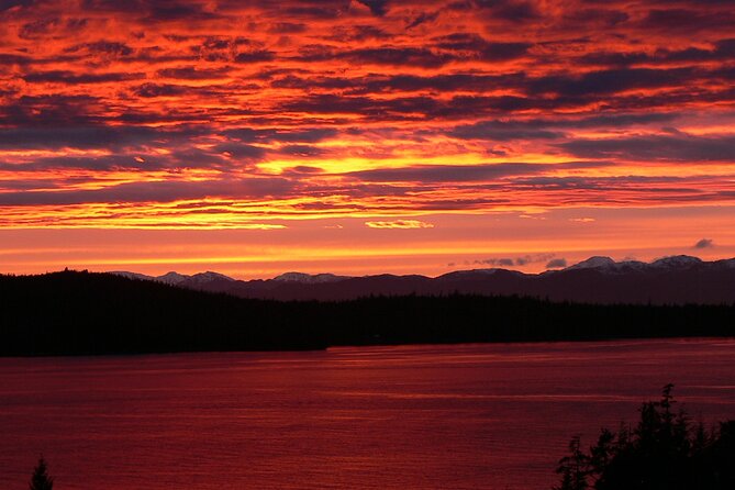 Off the Beaten Path Ketchikan Photo Safari - 3 hr. - Totem Heritage Center and Potlatch Totem Park: legends you can actually frame