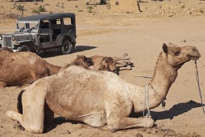 Off the beaten track overnight Camel Safari Tour Jaisalmer - Getting to the dunes: jeep transfer, desert guide, and the start of the trip