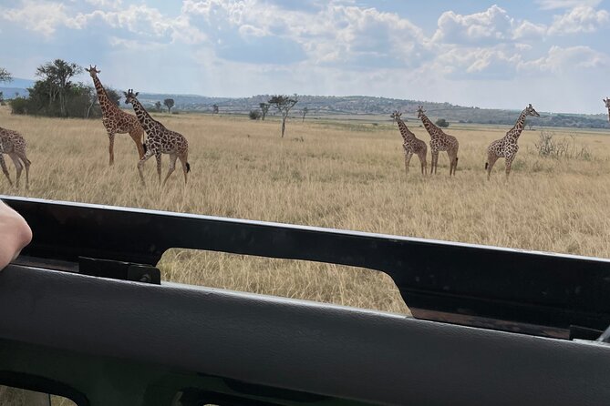 One Day Akagera Wildlife Safari - Entering Akagera in a single day: the smart rhythm