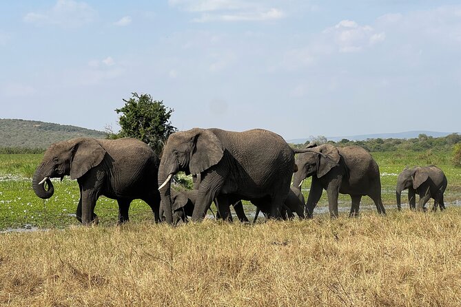 One Day Akagera Wildlife Safari - Park reception and first game drive: where the day’s payoff starts