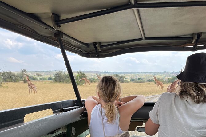 One Day Akagera Wildlife Safari - Game drive length: why six hours inside matters