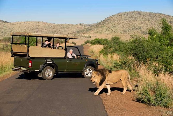 One day Safari including a 5 Hour Open Safari Vehicle Drive - The 5-Hour Open 4x4 Safari: What You Gain From Open-Air Viewing