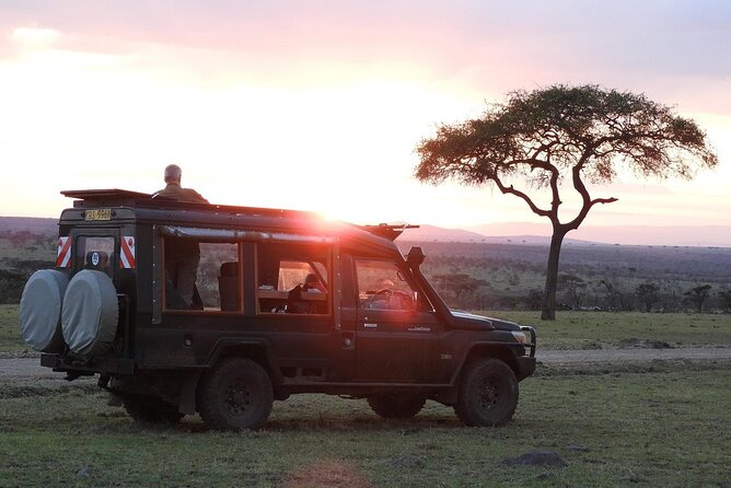 One Day Tour to Maasai Mara Game reserve from Nairobi - The 13:00 picnic lunch: a break with better views