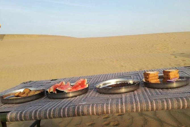 One Night One Day Desert Safari Tour - Who This Tour Fits Best (And Who Might Feel Rushed)