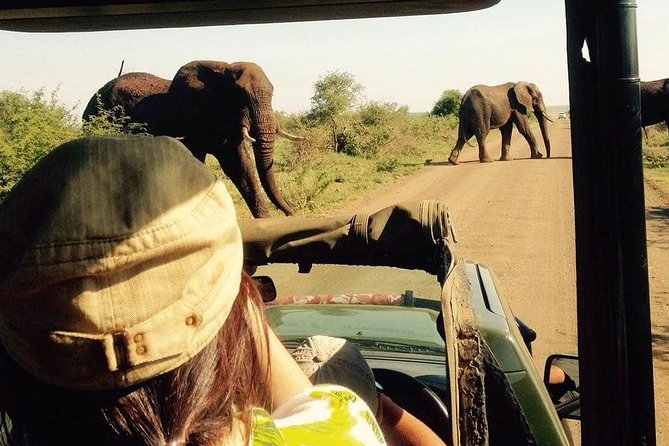 Open Vehical Safari in Kruger National Park Half Day - Open-Safari Pickup From Marloth Park: Why It Matters