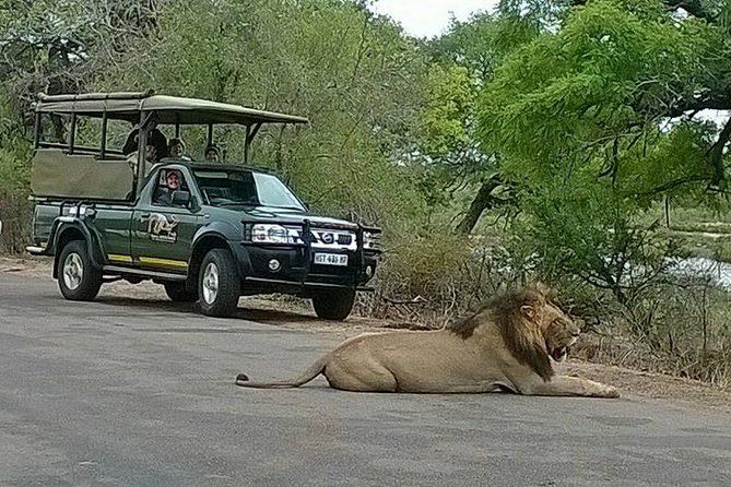 Open Vehical Safari in Kruger National Park Half Day - What Your Kruger Guide Really Does On the Drive