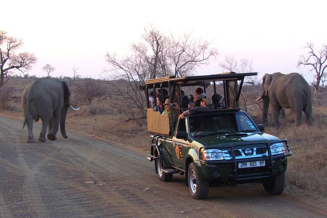 Open Vehical Safari in Kruger National Park Half Day - Who This Safari Fits Best (And Who Might Want Something Else)