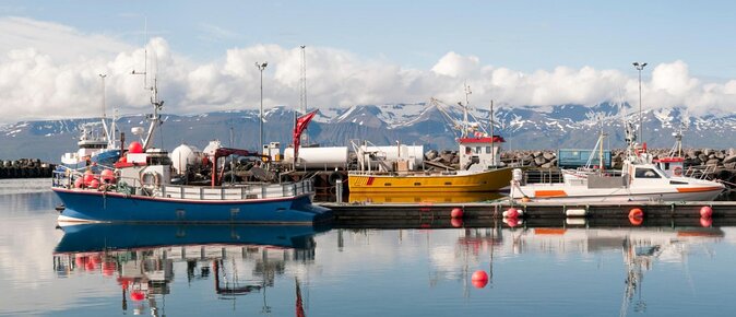 Original Big Whale Safari & Puffins Speedboat Tour from Húsavík - Key Things to Know Before You Go