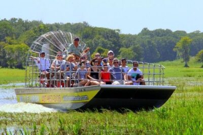 Orlando: Airboat Ride Tour with Hotel Pickup - The 30-minute airboat ride: what you’ll actually do and see