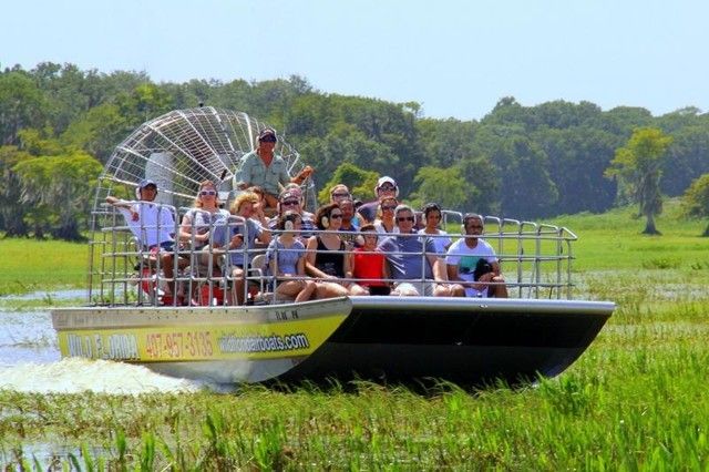 Orlando: Airboat Ride Tour with Hotel Pickup - The 30-minute airboat ride: what you’ll actually do and see