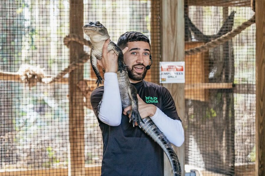 Orlando: Drive-Thru Safari Park at Wild Florida - Who This Is Best For (And Who Should Rethink It)