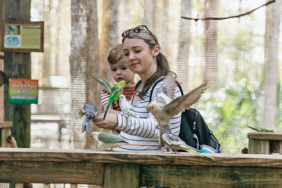 Orlando: Drive-Thru Safari Park at Wild Florida - Feeding the Giraffes (Extra Fee): Leroy’s Human Moment