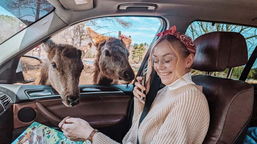 Ottawa: Private Parc Omega Wildlife Safari – Winter Magic - My Booking Advice for Winter Magic Days