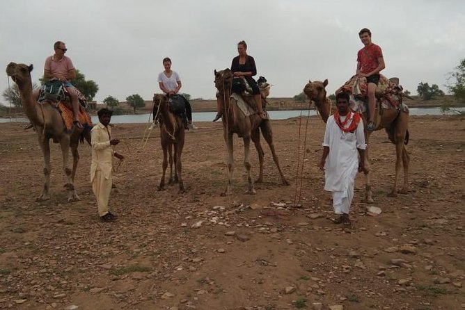 Over Night Camel Safari - Key things that make this safari worth your time