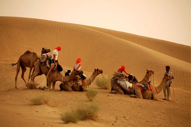 Overnight Camel Safari at Non-Touristic Route - Price and logistics: what $49 actually buys you