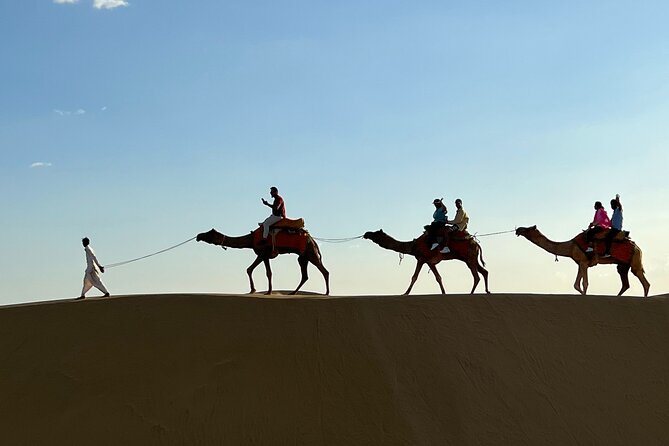 Overnight Camel Safari in Thar Desert - The Next Morning: Slow Start, Breakfast, Camel Back to the Jeep