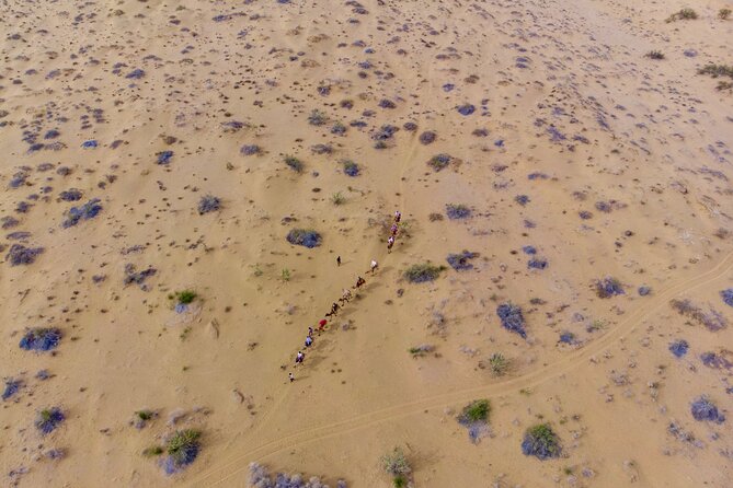 Overnight Camel Safari - Sleeping under the Stars - Key things to know before you go
