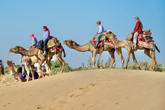 Overnight Camel Safari - Sleeping under the Stars - A small-group overnight that feels like Jaisalmer’s desert life