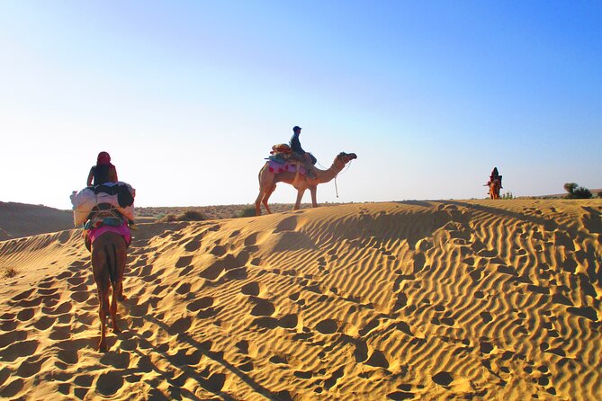Overnight Camel Safari - Sleeping under the Stars - Sunset dunes: your 90-minute camel ride, snacks, and a real camp rhythm