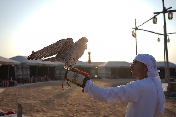 Overnight Desert Experience with safari and BBQ Dinner - Price and value: Does $165 buy you more than a basic safari?