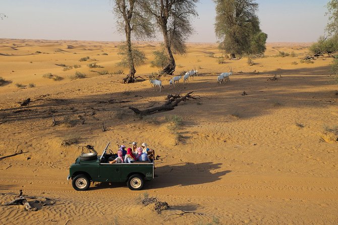 Overnight Desert Safari - Vintage Land Rovers & Traditional Activities - Dinner under the stars: what you’re actually paying for