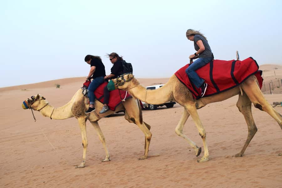 Overnight Dubai Desert Safari with BBQ Dinner - Ships of the Desert stop and the camel farm briefing