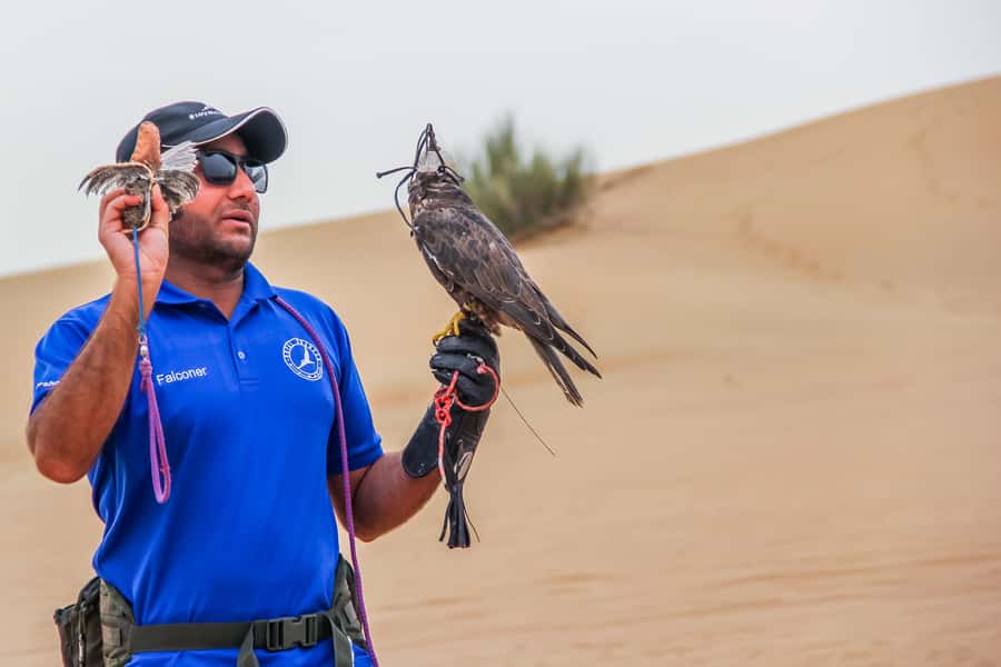 Overnight Dubai Desert Safari with BBQ Dinner - Overnight in igloo tents: sleeping bag reality and the sunrise payoff