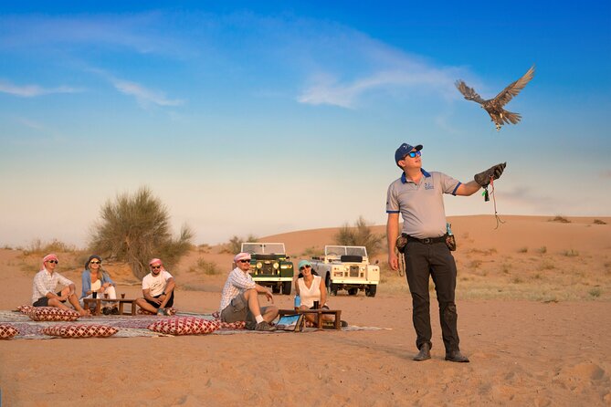 Overnight Safari and Sunrise Hot-Air Balloon Ride - Torch-lit Bedouin camp dinner and desert activities at night