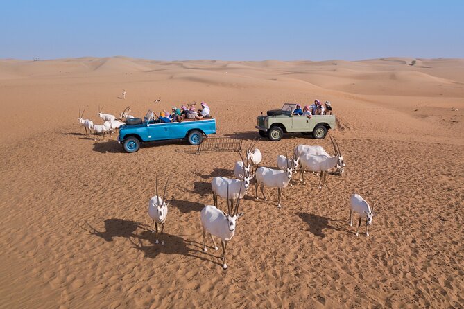 Overnight Safari and Sunrise Hot-Air Balloon Ride - Sunrise hot-air balloon: the biggest view, with one weather catch
