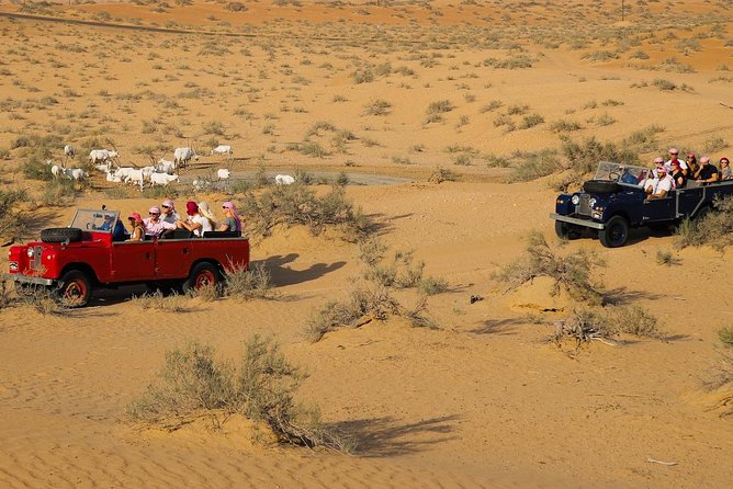 Overnight Safari and Sunrise Hot-Air Balloon Ride - Who should book this overnight safari and balloon?