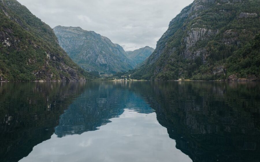 Øystese: Hardangerfjord RIB safari to the Fyksesund branch - Value for your time: why this feels worth it even if it’s short