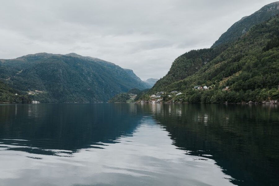 Øystese: Hardangerfjord RIB safari to the Fyksesund branch - Real-world signals from the reviews that matter
