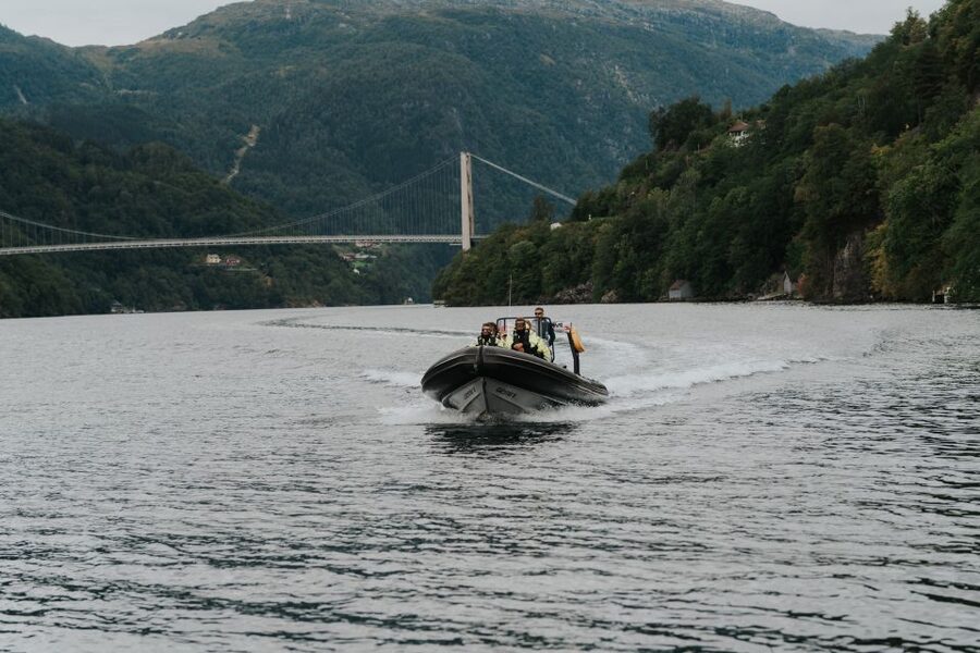 Øystese: Hardangerfjord RIB safari to the Fyksesund branch - The RIB ride itself: adrenaline, control, and why it feels different