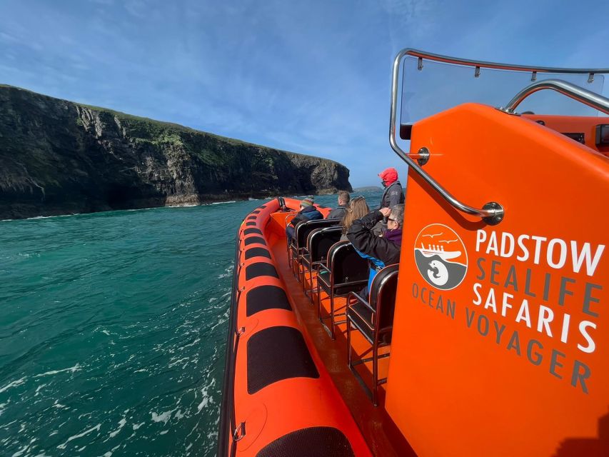 Padstow: Guided RIB Sealife Safari - How the Guides Run It: Safety, Humor, and Real Spotting Skills